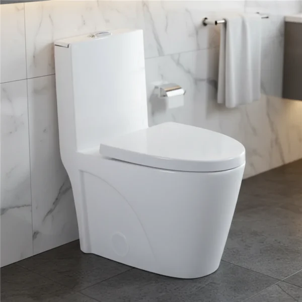 North American Style ADA Dual Flush Ceramic Modern One Piece Toilet