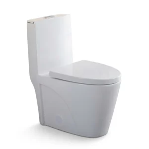 North American Style ADA Dual Flush Ceramic Modern One Piece Toilet