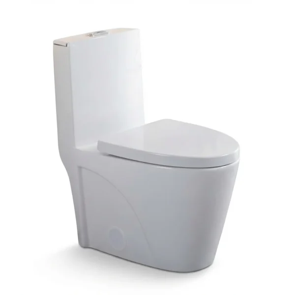 North American Style ADA Dual Flush Ceramic Modern One Piece Toilet