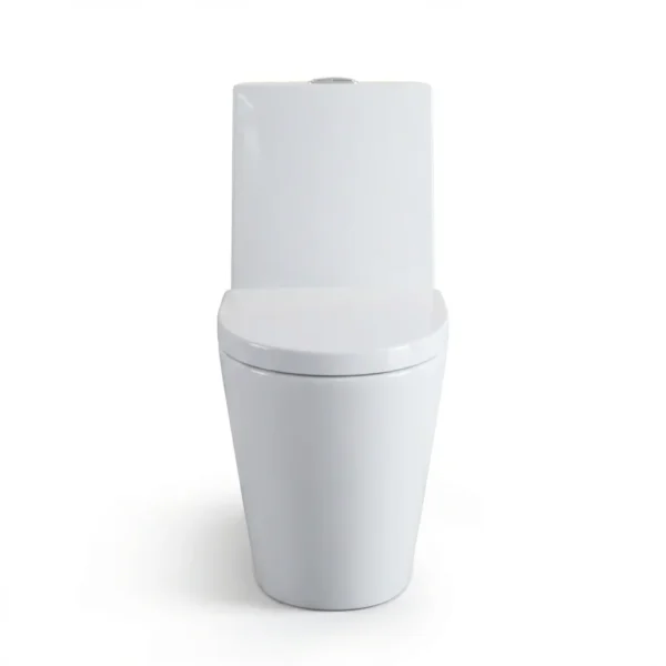 North American Style ADA Dual Flush Ceramic Modern One Piece Toilet