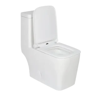 Bathroom Ceramic WC Dual Flush Floor Mounted Modern One Piece Toilet